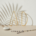A.D. (Attention Deficit) Earrings